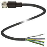 V17-G-10M-PVC-ABG - Sensor-Actuator Cables